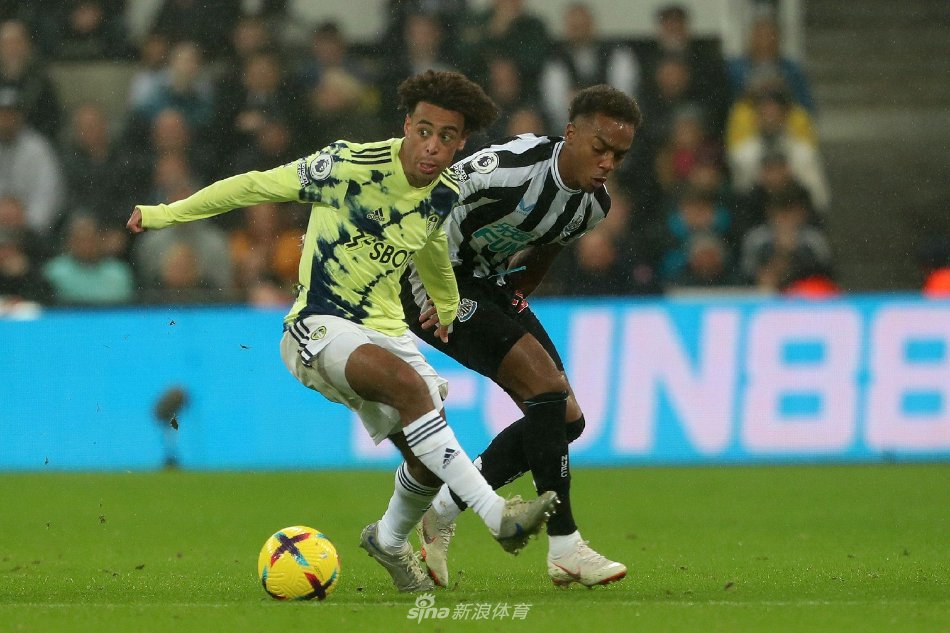 深圳队在场 深圳队在场