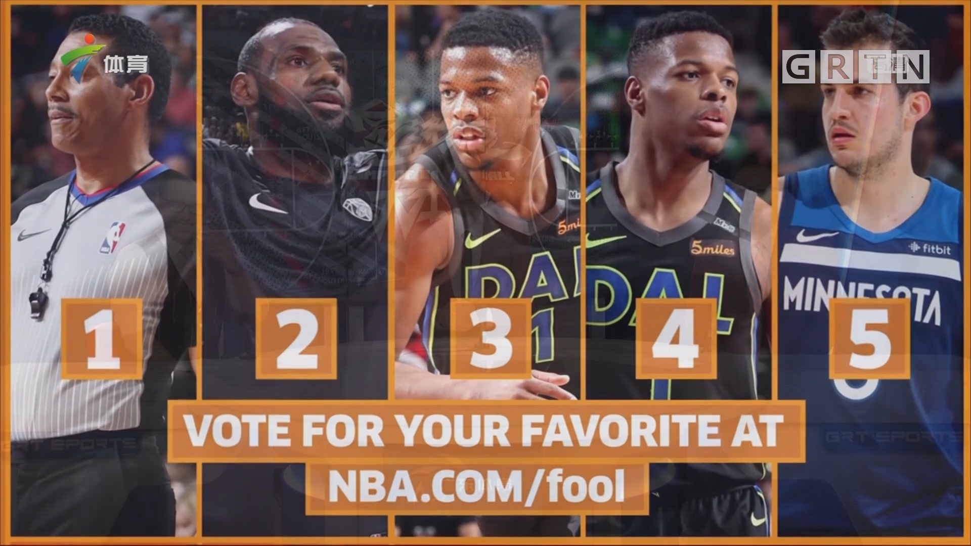 的情感纽带 的情感纽带